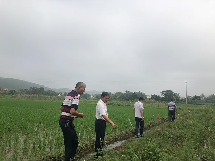 PA视讯(中国)集团官网 - PlayAce