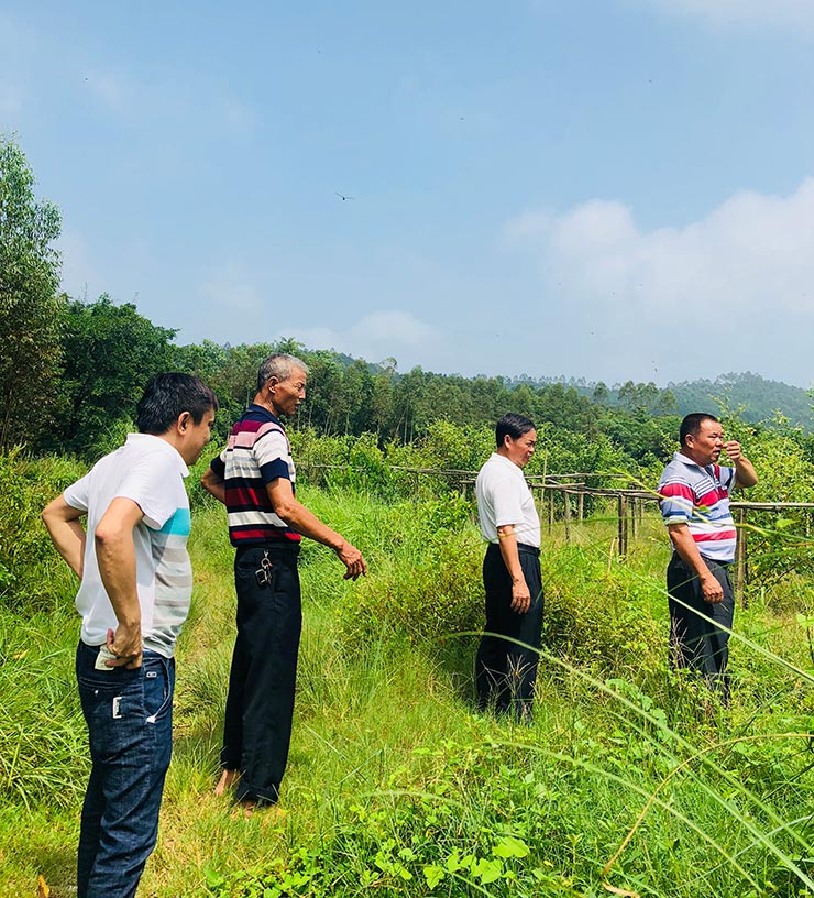 PA视讯(中国)集团官网 - PlayAce