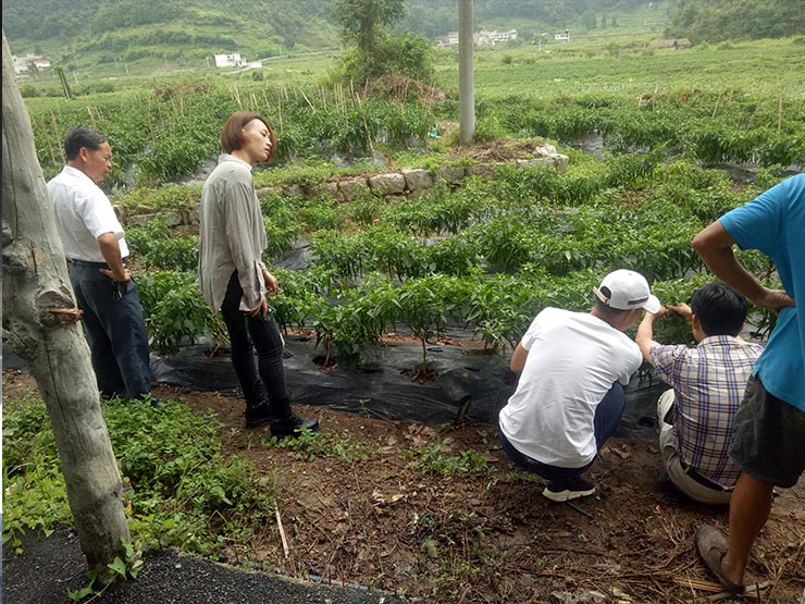 PA视讯(中国)集团官网 - PlayAce