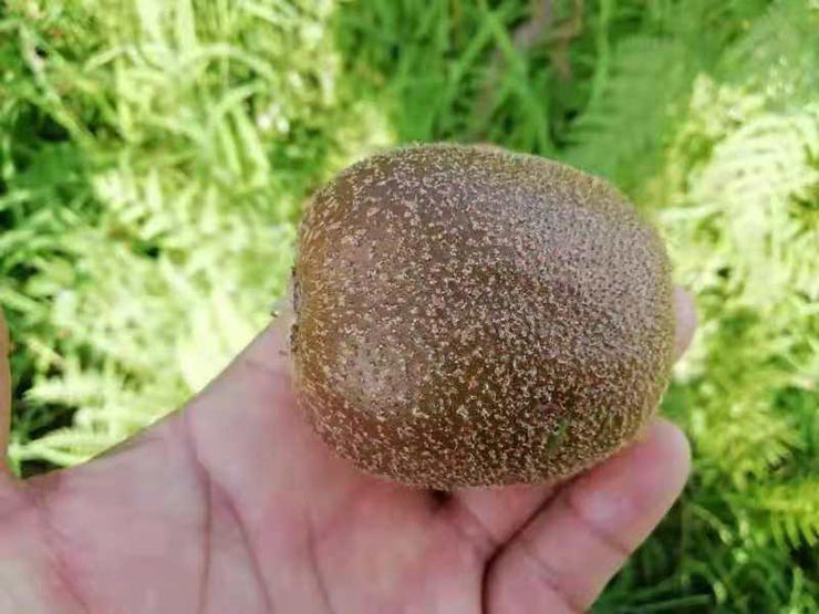 PA视讯(中国)集团官网 - PlayAce