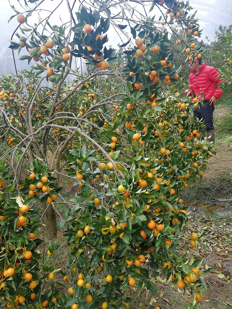 PA视讯(中国)集团官网 - PlayAce