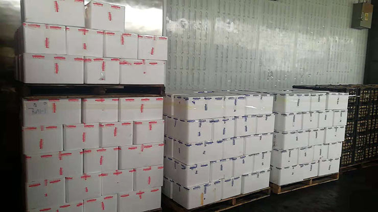 PA视讯(中国)集团官网 - PlayAce