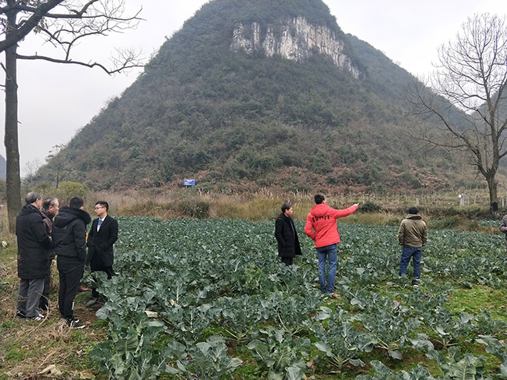 PA视讯(中国)集团官网 - PlayAce