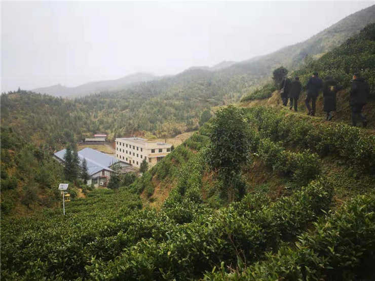 PA视讯(中国)集团官网 - PlayAce