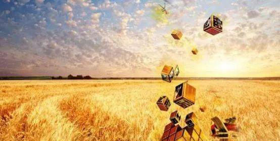 PA视讯(中国)集团官网 - PlayAce