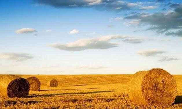 PA视讯(中国)集团官网 - PlayAce