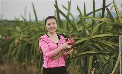 PA视讯(中国)集团官网 - PlayAce