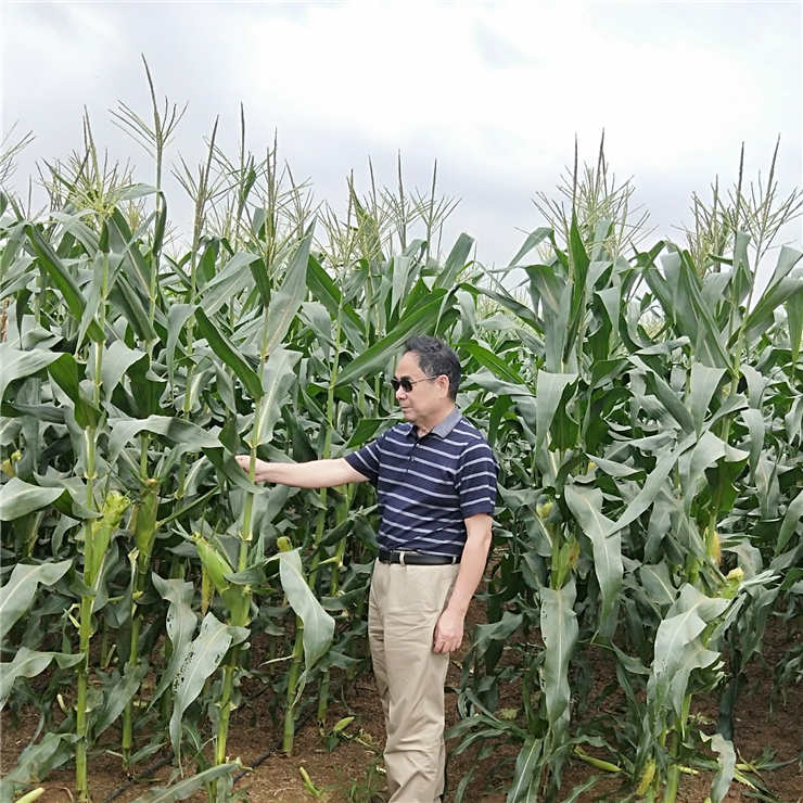 PA视讯(中国)集团官网 - PlayAce