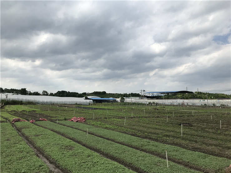 PA视讯(中国)集团官网 - PlayAce