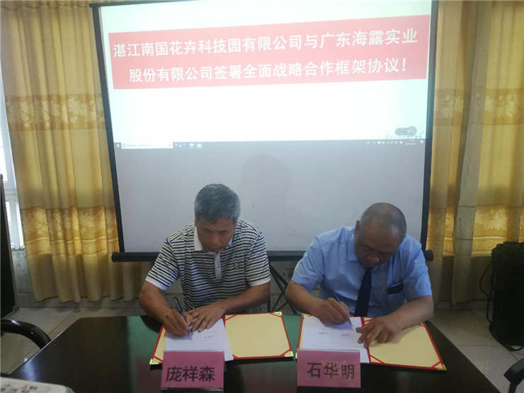 PA视讯(中国)集团官网 - PlayAce