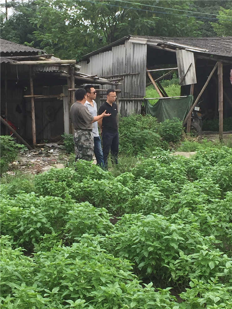 PA视讯(中国)集团官网 - PlayAce