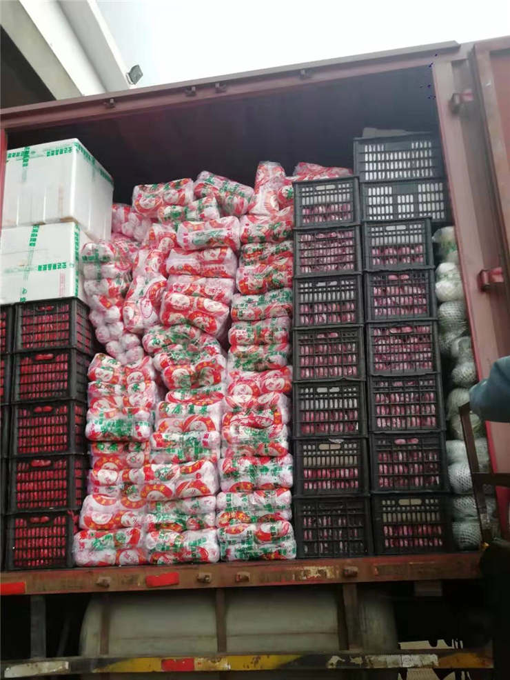 PA视讯(中国)集团官网 - PlayAce