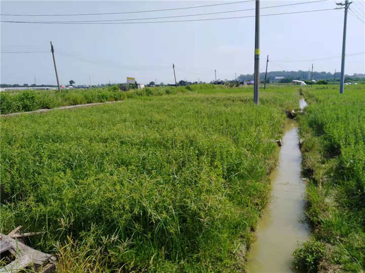 PA视讯(中国)集团官网 - PlayAce