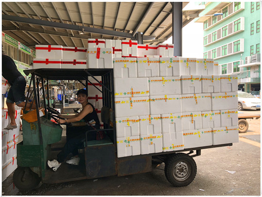 PA视讯(中国)集团官网 - PlayAce