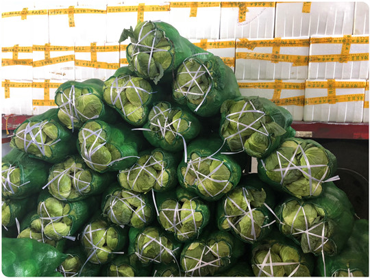 PA视讯(中国)集团官网 - PlayAce