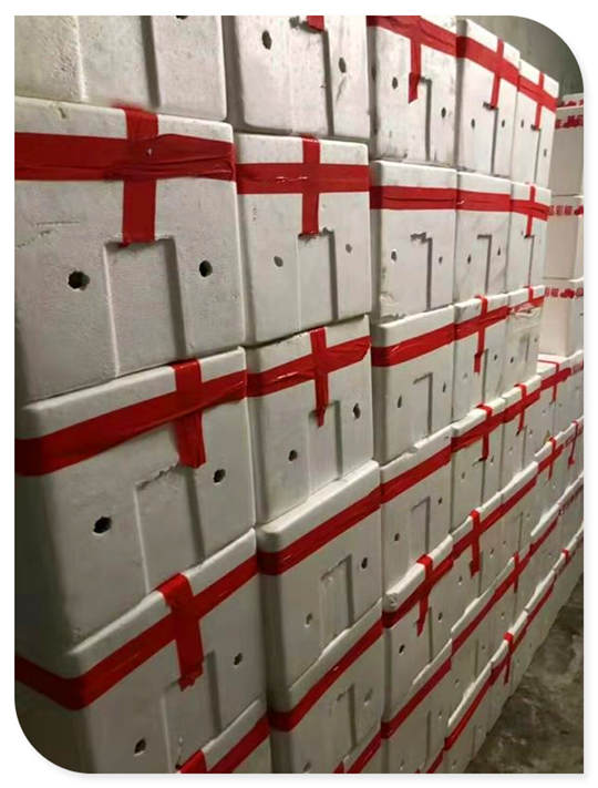 PA视讯(中国)集团官网 - PlayAce