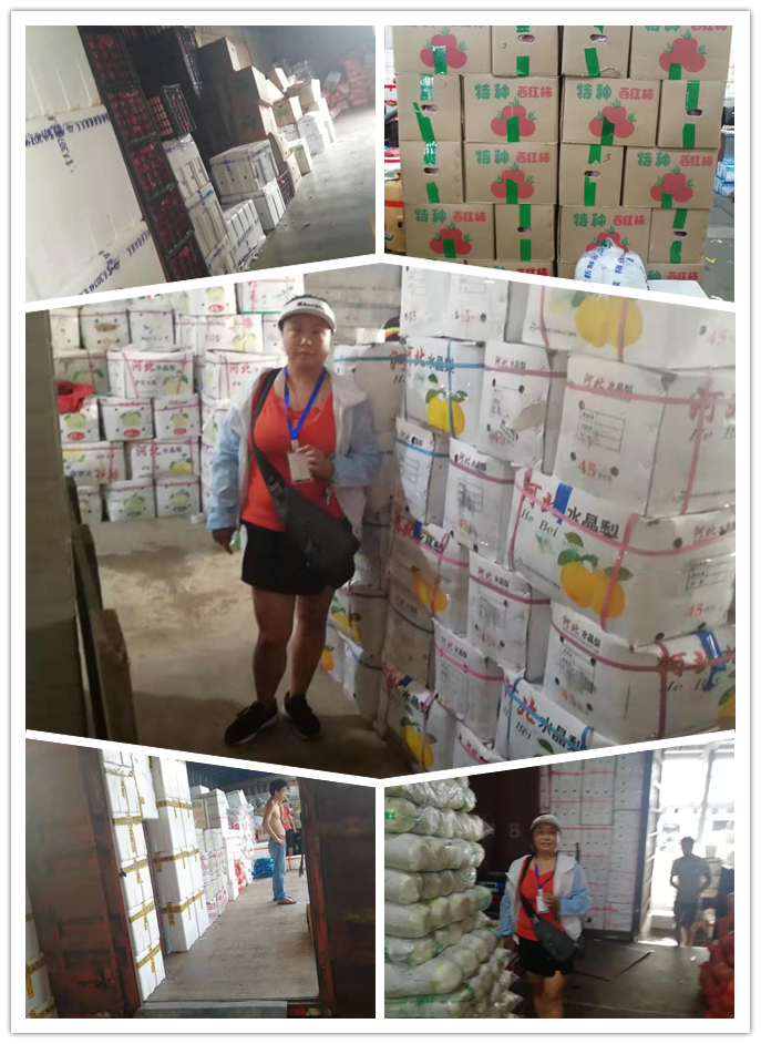 PA视讯(中国)集团官网 - PlayAce