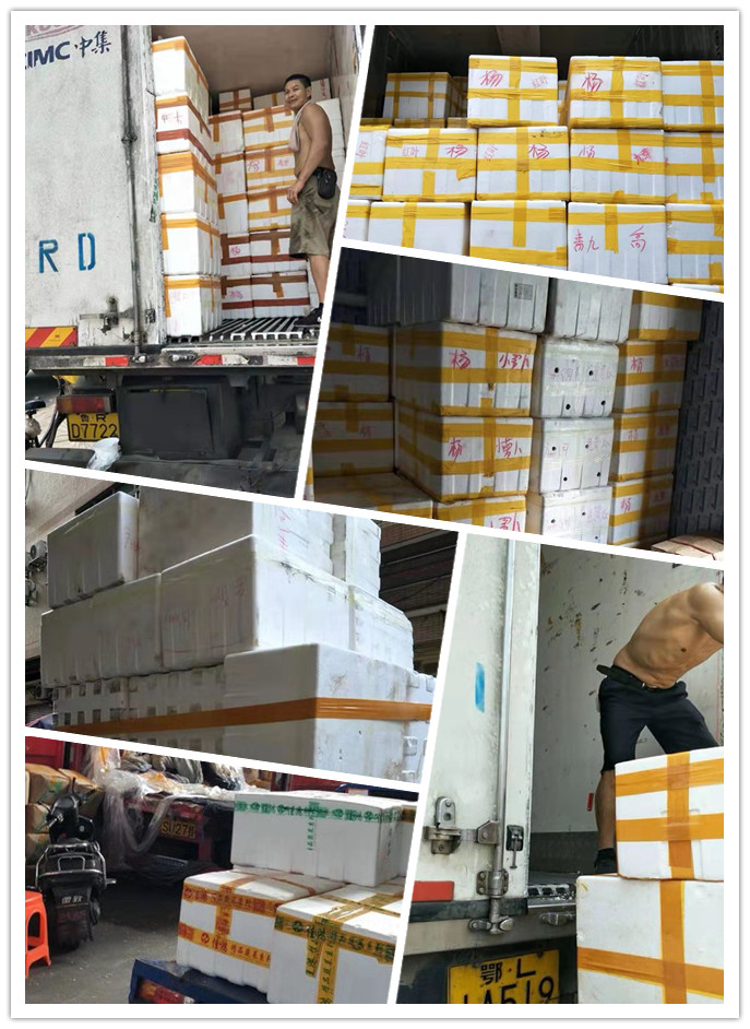 PA视讯(中国)集团官网 - PlayAce