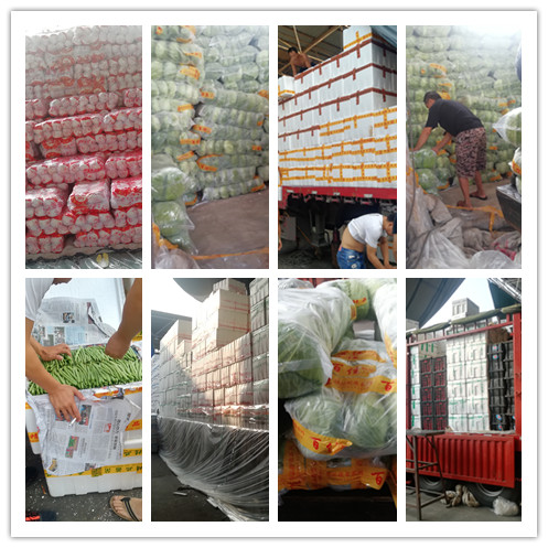 PA视讯(中国)集团官网 - PlayAce