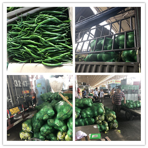 PA视讯(中国)集团官网 - PlayAce