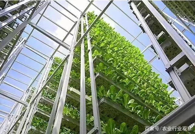 PA视讯(中国)集团官网 - PlayAce