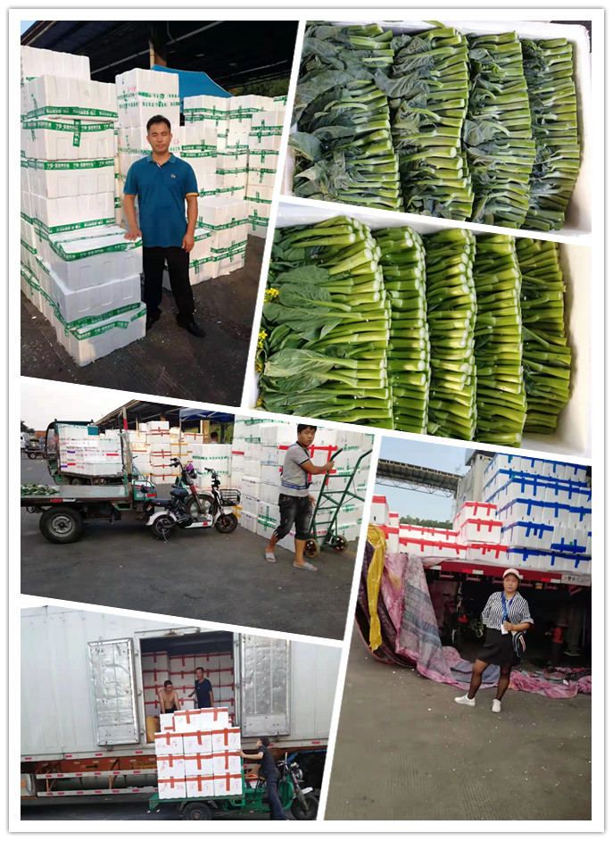 PA视讯(中国)集团官网 - PlayAce