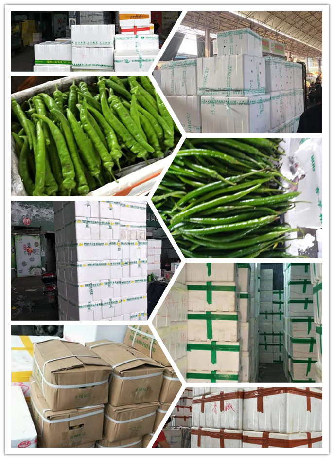 PA视讯(中国)集团官网 - PlayAce