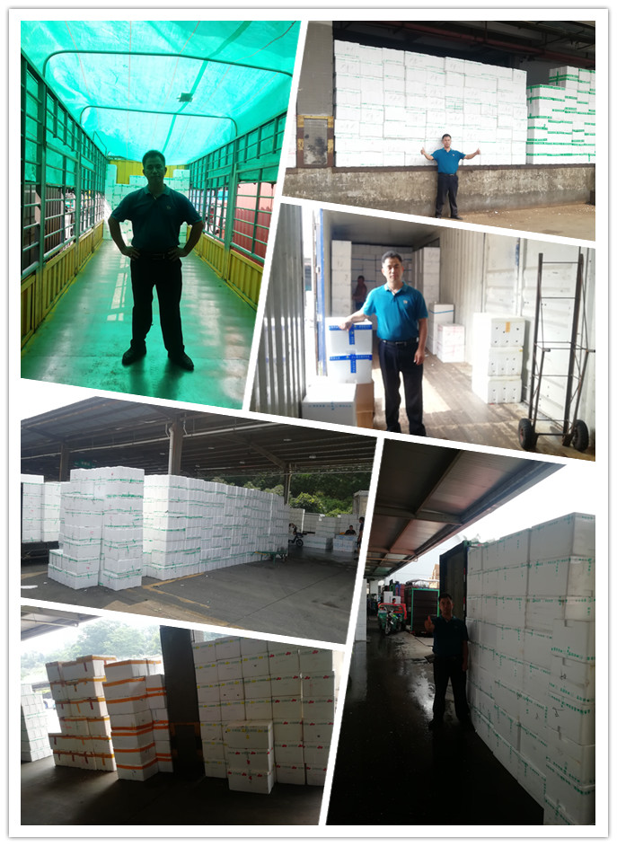 PA视讯(中国)集团官网 - PlayAce