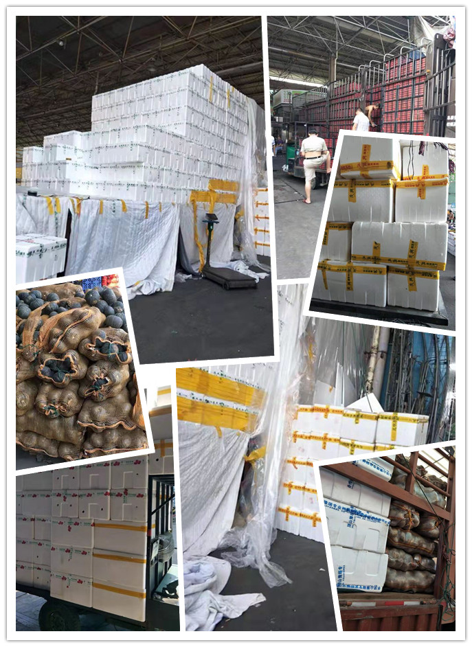 PA视讯(中国)集团官网 - PlayAce