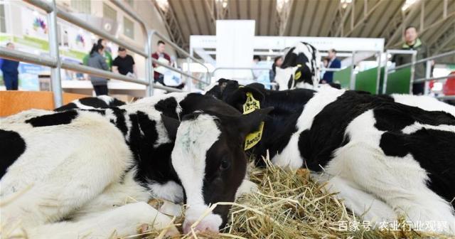 PA视讯(中国)集团官网 - PlayAce