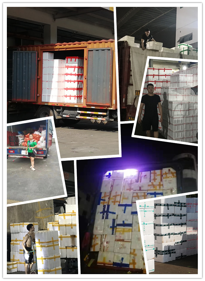 PA视讯(中国)集团官网 - PlayAce