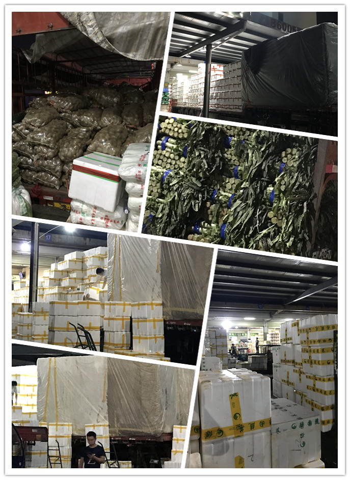 PA视讯(中国)集团官网 - PlayAce