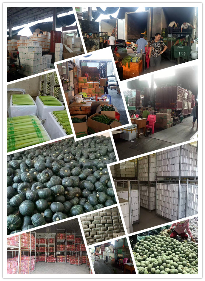 PA视讯(中国)集团官网 - PlayAce