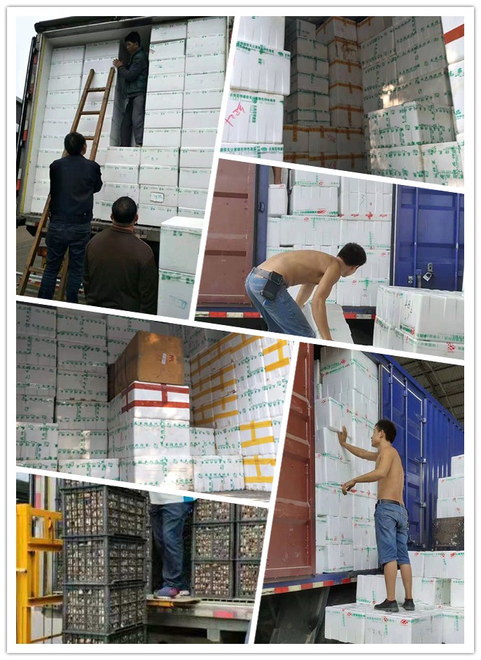 PA视讯(中国)集团官网 - PlayAce