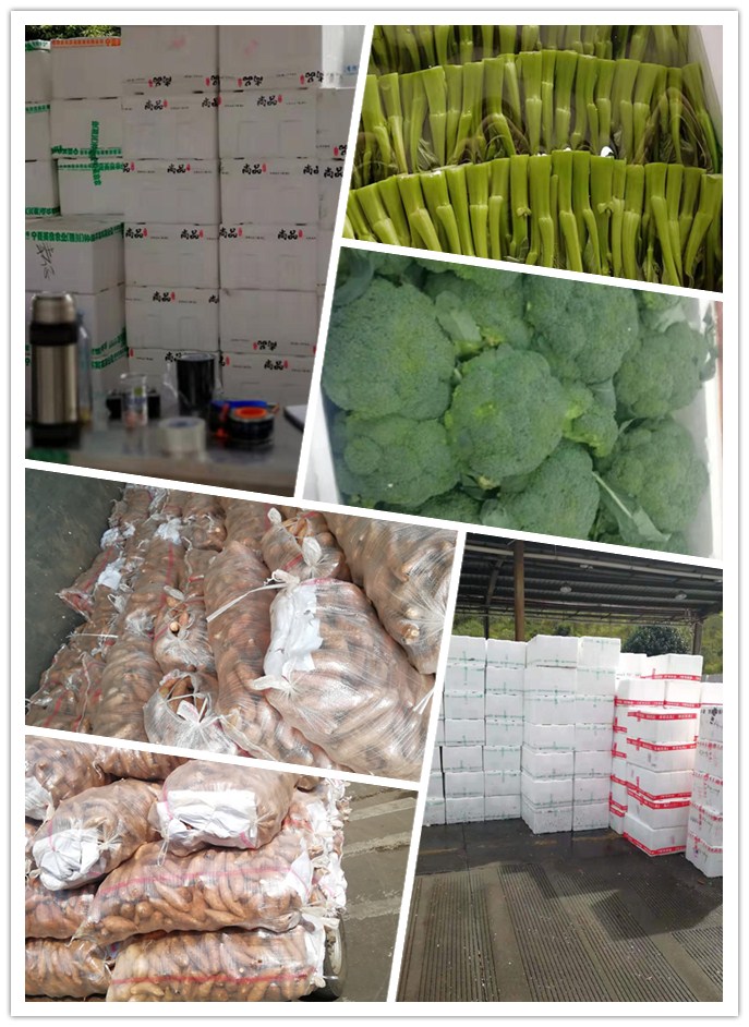 PA视讯(中国)集团官网 - PlayAce