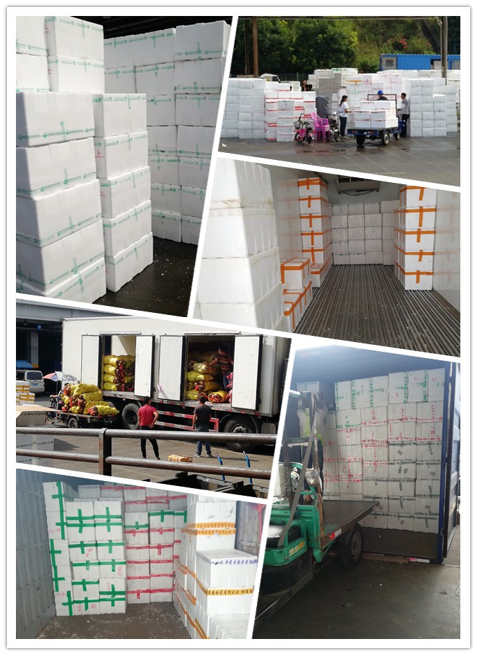 PA视讯(中国)集团官网 - PlayAce