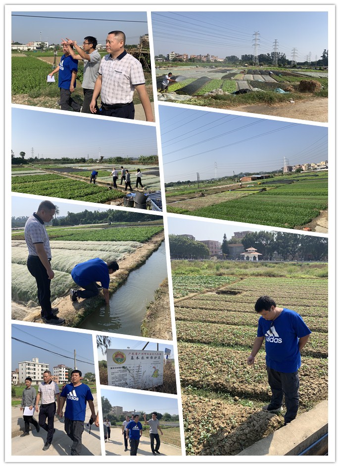 PA视讯(中国)集团官网 - PlayAce