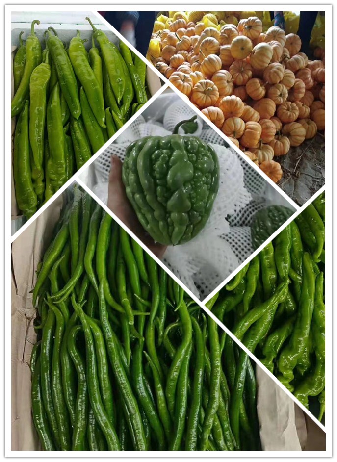 PA视讯(中国)集团官网 - PlayAce