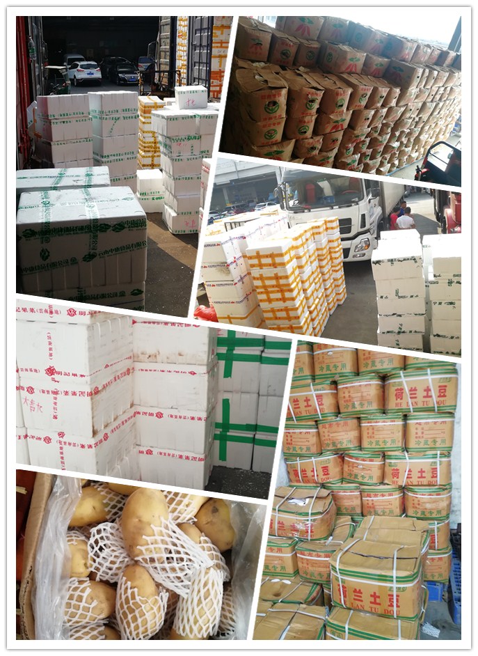 PA视讯(中国)集团官网 - PlayAce