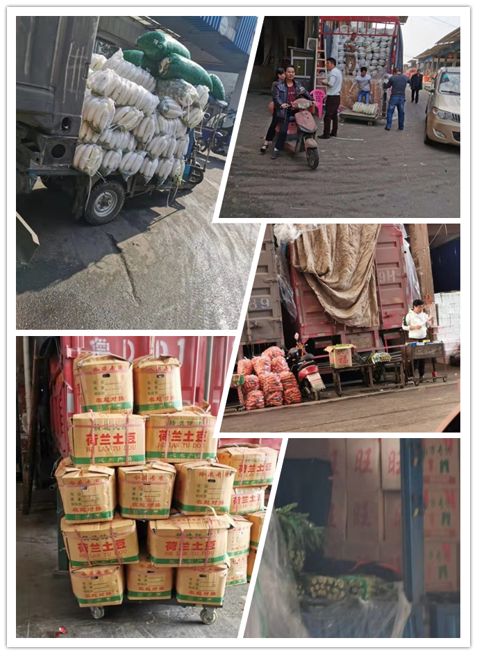 PA视讯(中国)集团官网 - PlayAce