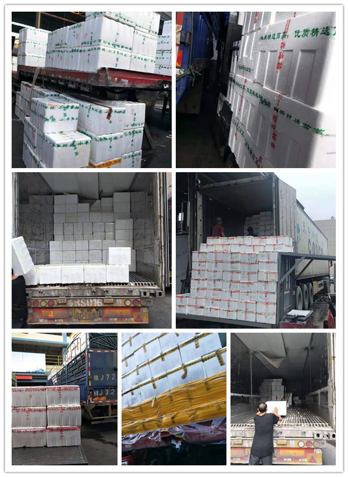 PA视讯(中国)集团官网 - PlayAce