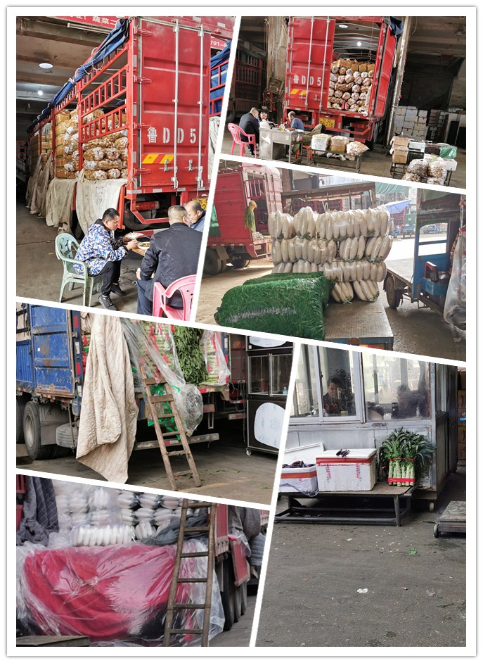 PA视讯(中国)集团官网 - PlayAce