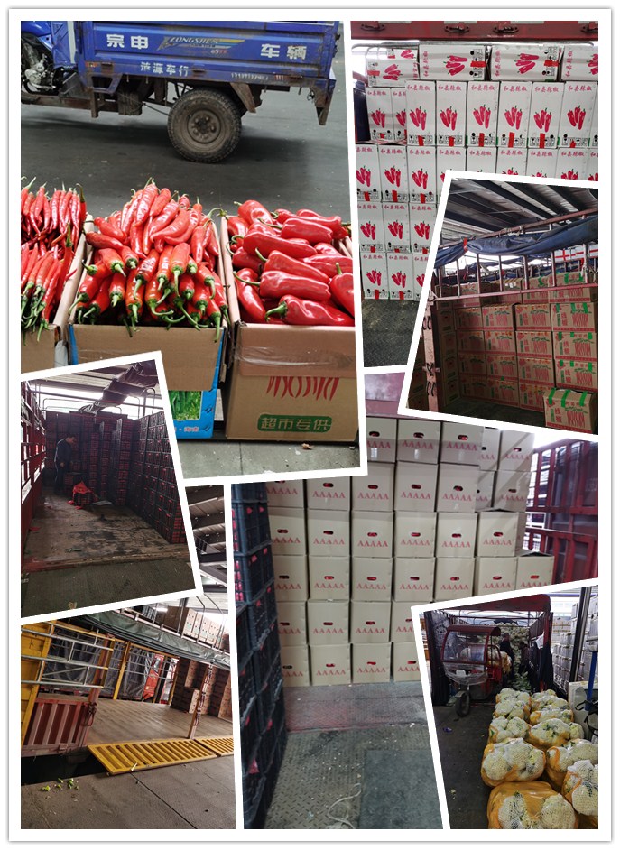 PA视讯(中国)集团官网 - PlayAce