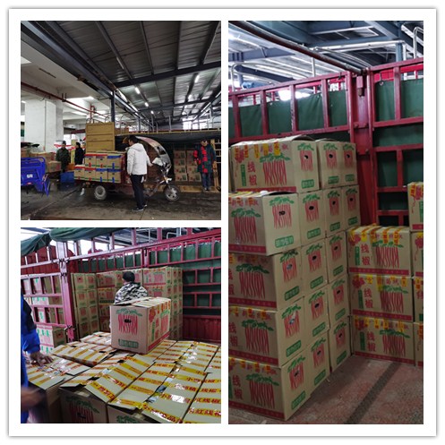 PA视讯(中国)集团官网 - PlayAce