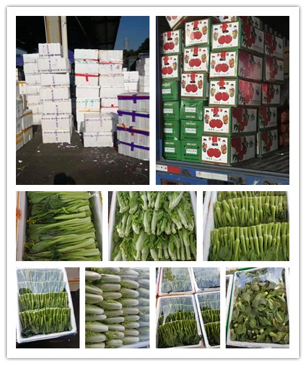 PA视讯(中国)集团官网 - PlayAce