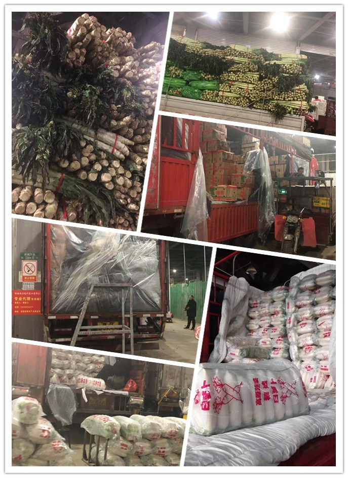 PA视讯(中国)集团官网 - PlayAce