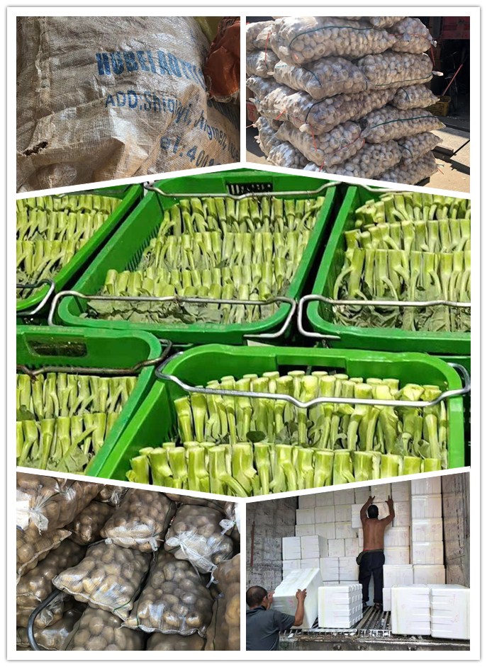 PA视讯(中国)集团官网 - PlayAce