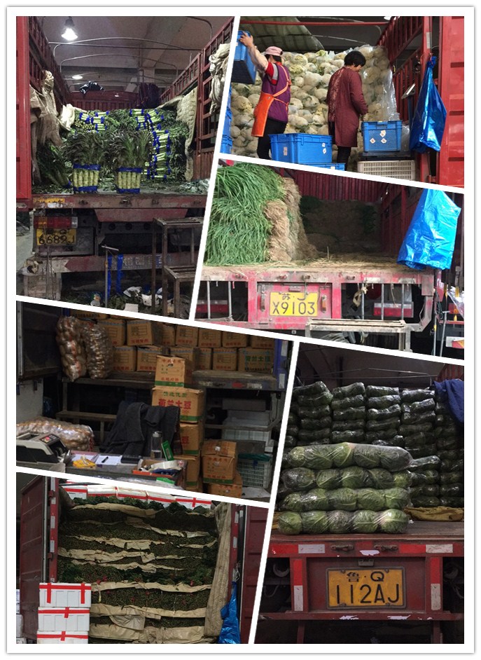 PA视讯(中国)集团官网 - PlayAce