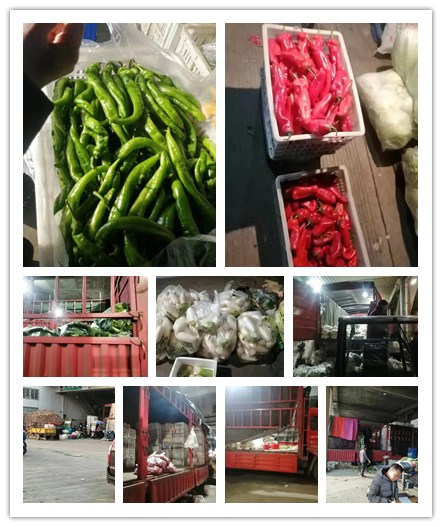 PA视讯(中国)集团官网 - PlayAce