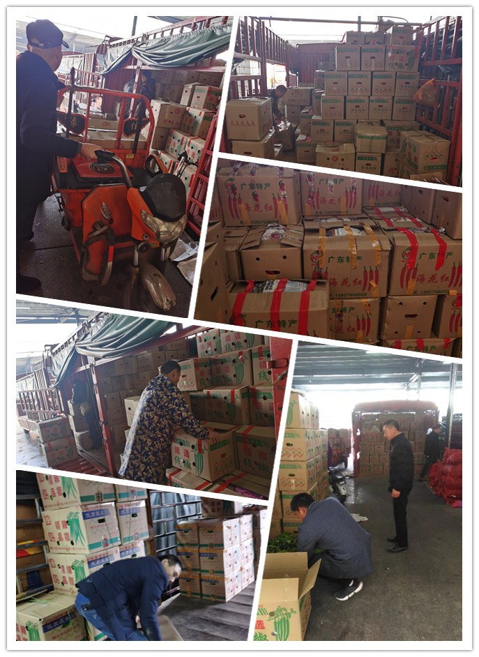 PA视讯(中国)集团官网 - PlayAce